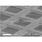 超平有孔碳支持膜C-flat™ （Holey Carbon Grids for TEM）